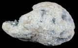 Blue Celestine (Celestite) Geode - Madagascar #31243-2
